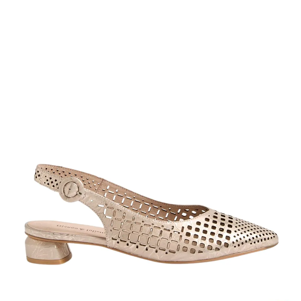 Comfy Step DJANGO & JULIETTE FABBI CHAMPAGNE