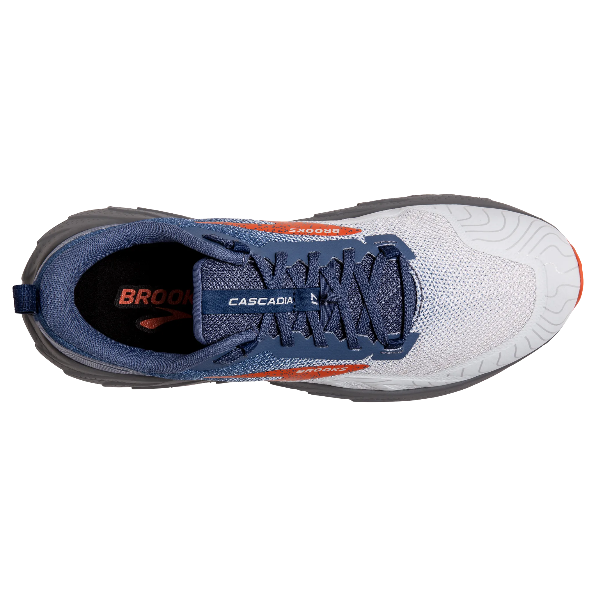 beach equipment Men's Cascadia 17