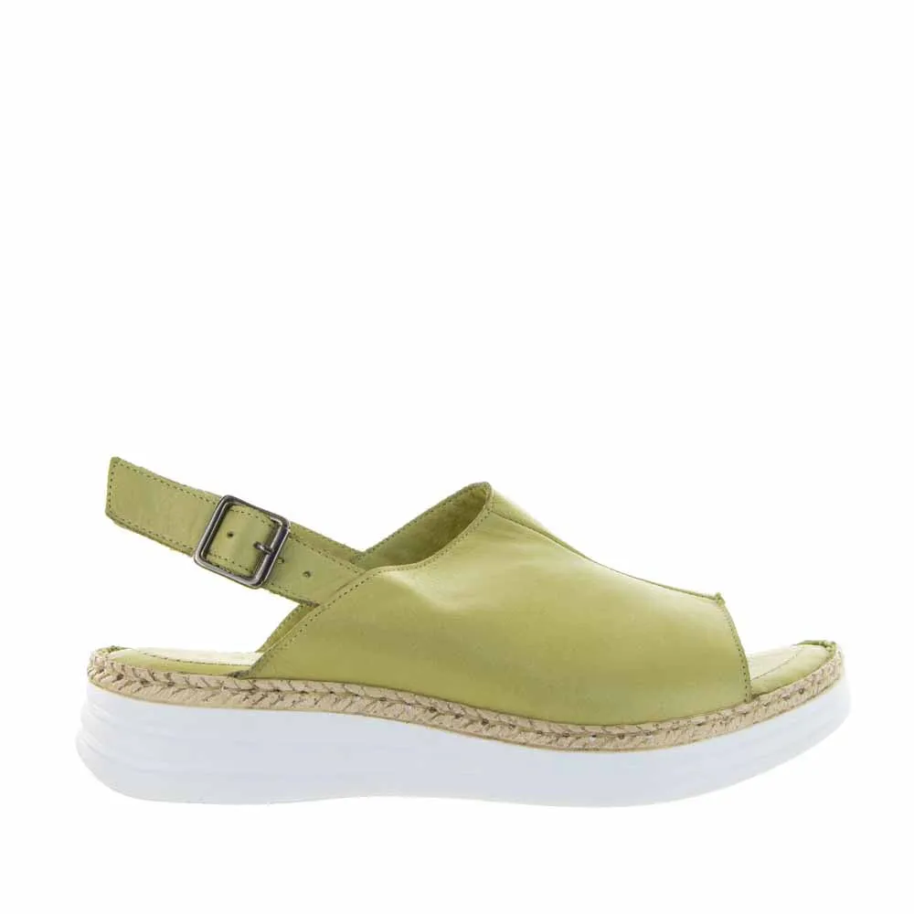 LE SANSA HIKE GREEN Multi-Functional