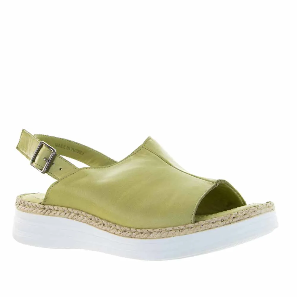 cycling equipment Party - Wear LE SANSA HIKE GREEN