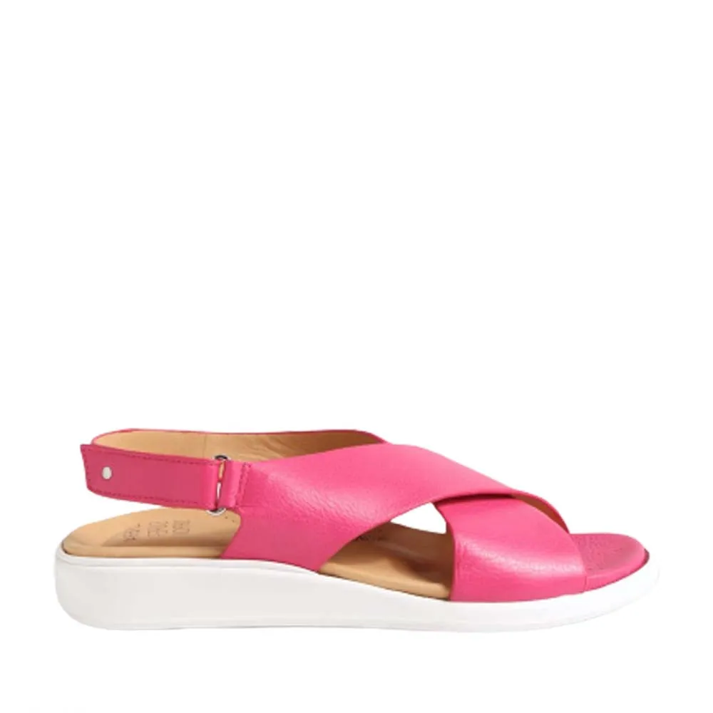 Rapid pace Ziera Ilda Fuchsia