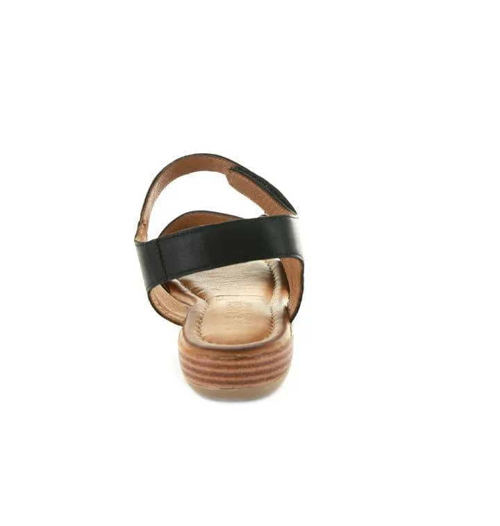 LE SANSA LAS VEGAS BLACK Versatile Comfort Wear Anywhere