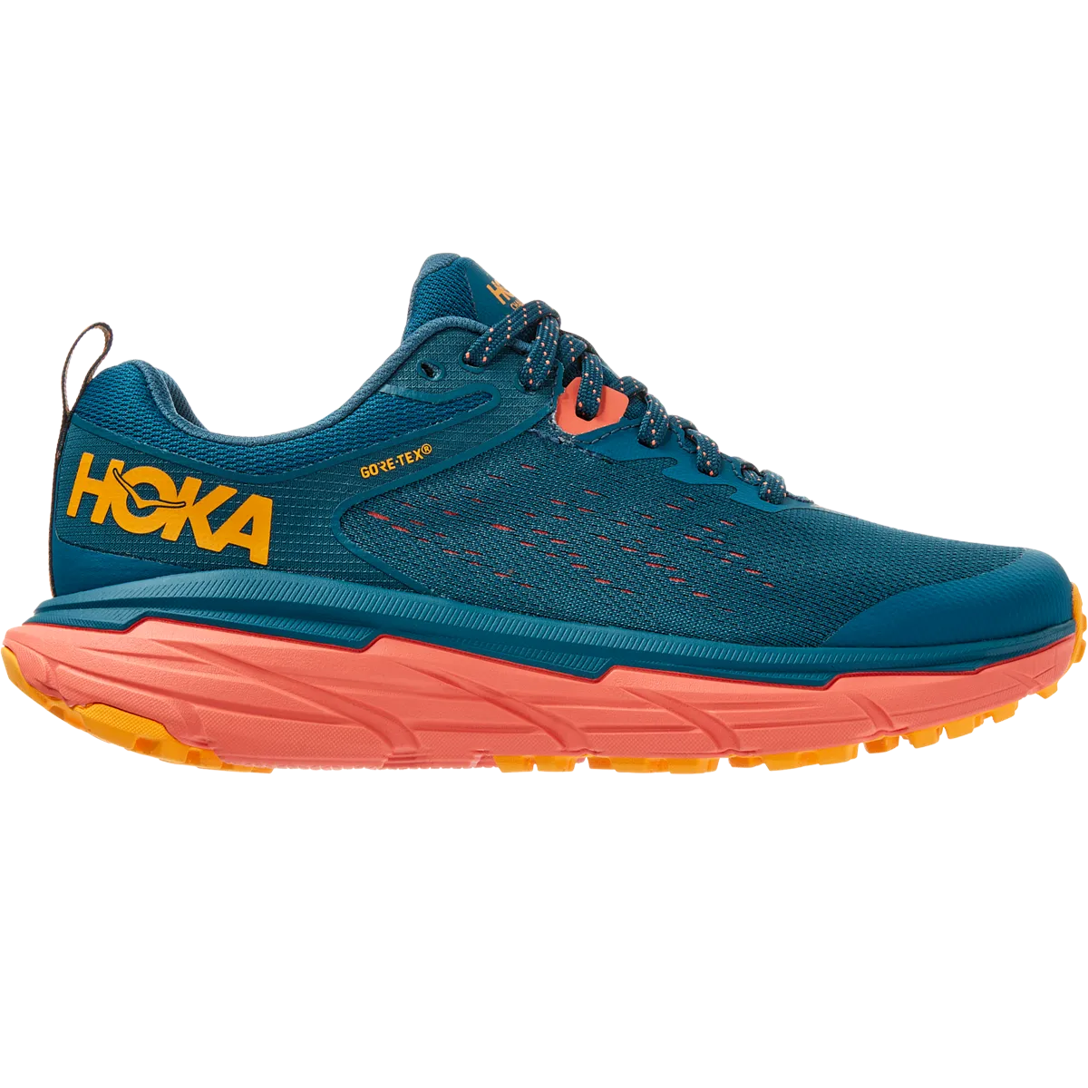 Women's Challenger ATR 6 GTX early - morning runner shoes