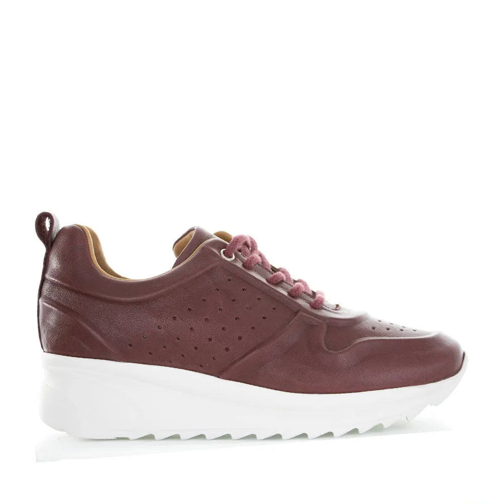 plastic Easy Wear LE SANSA NEELA BORDO
