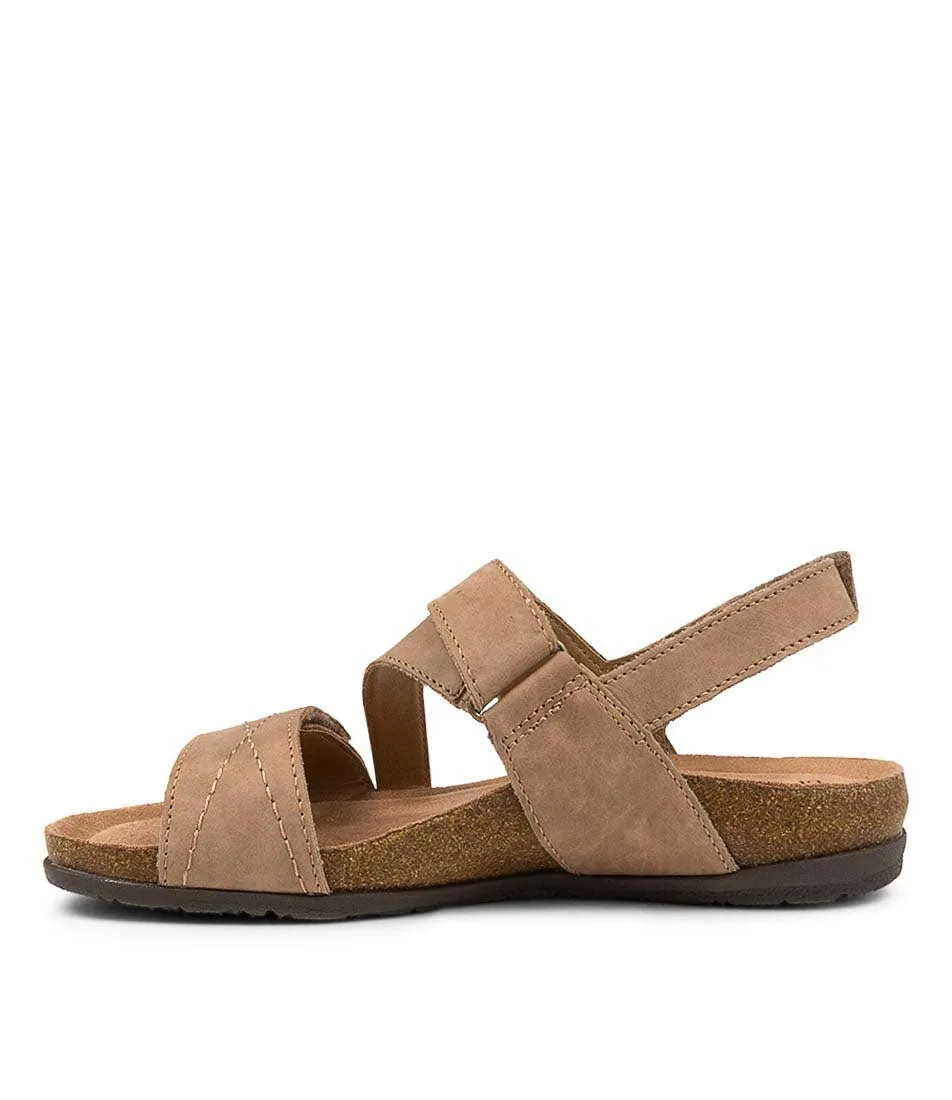 Shore Play Daily Basic PLANET SHOES ODETTE MUSHROOM