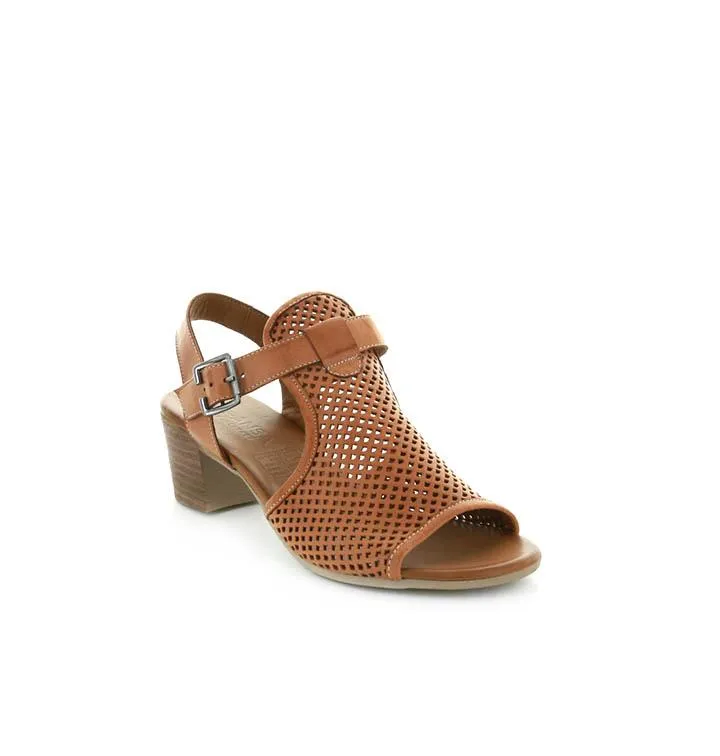 basic LE SANSA LYRA TAN