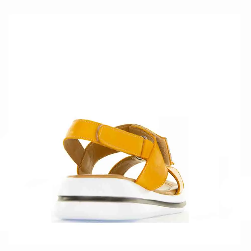 LE SANSA SIMA ORANGE Outdoor Style