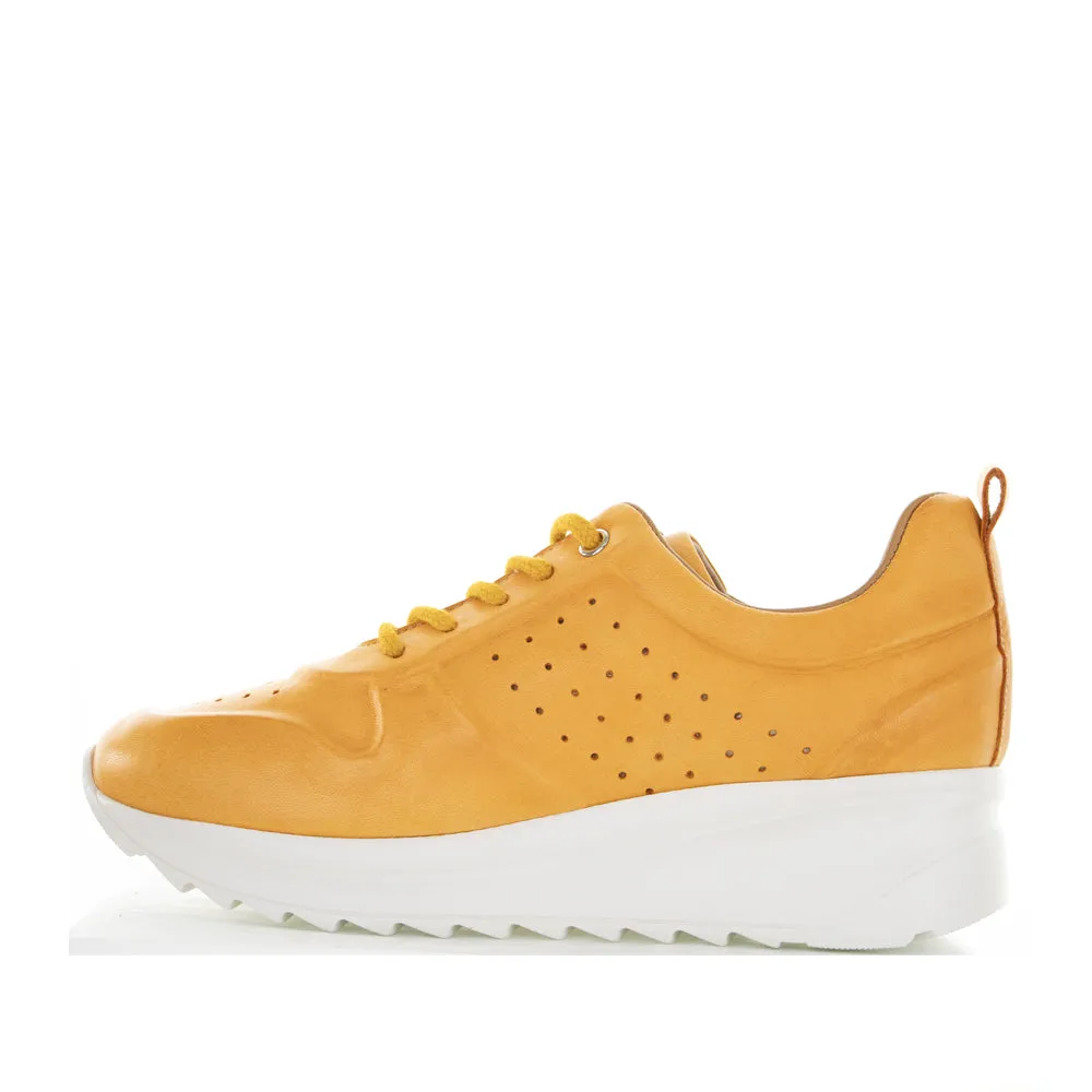 LE SANSA NEELA ORANGE Trendy dancer