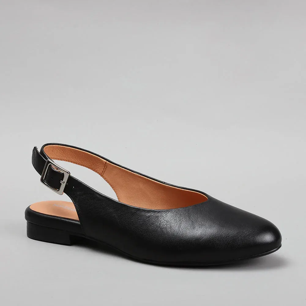 NAKED ARCHES ZODIAC BLACK Daily Essentials