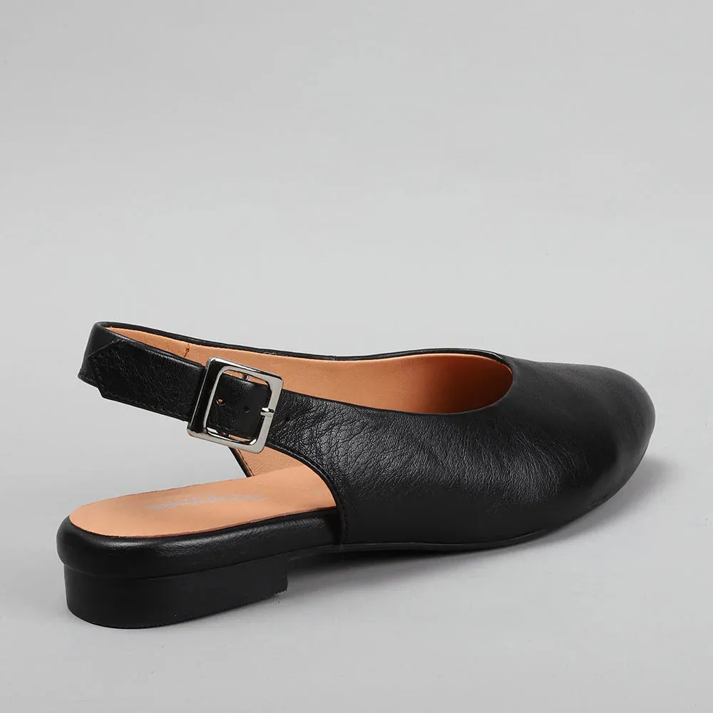 NAKED ARCHES ZODIAC BLACK Full Range