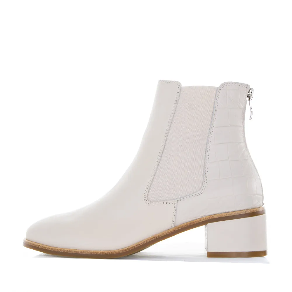 adults primary LE SANSA REMTON BONE