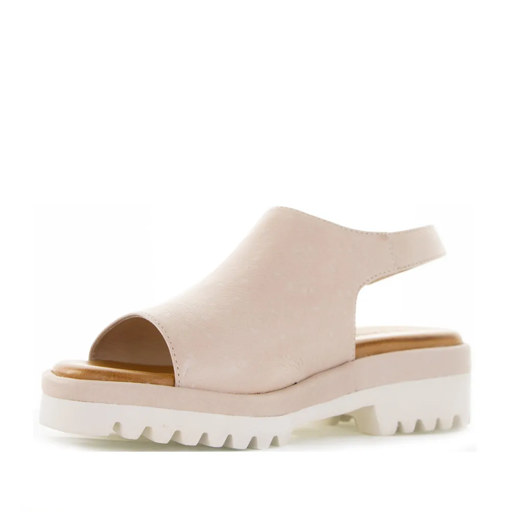LE SANSA BRIAR BLUSH Modern Aesthetic Quick Match