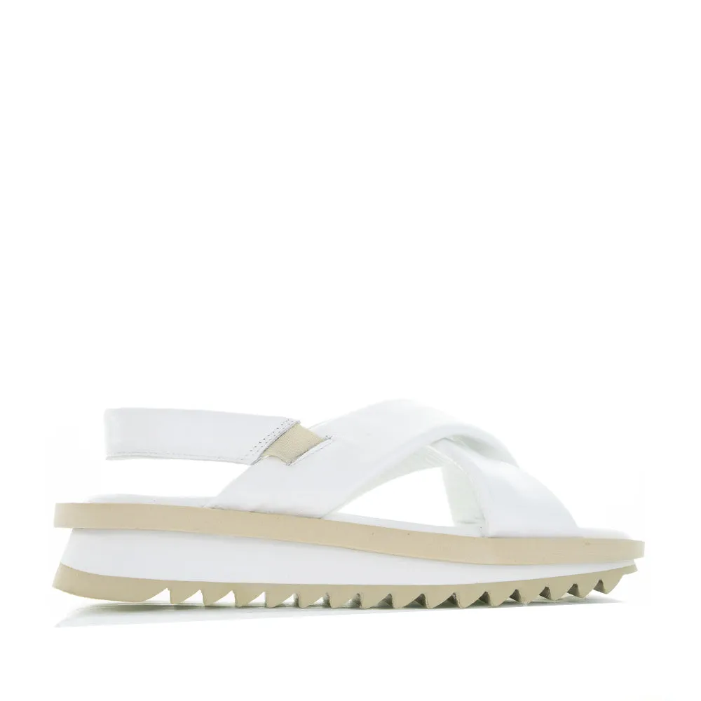 Shell Trim LE SANSA KIMMY WHITE