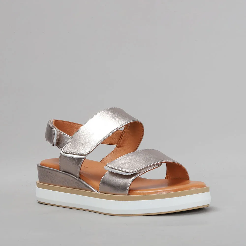 Balanced Design Look Sharp LE SANSA HOLLY CHAMPAGNE