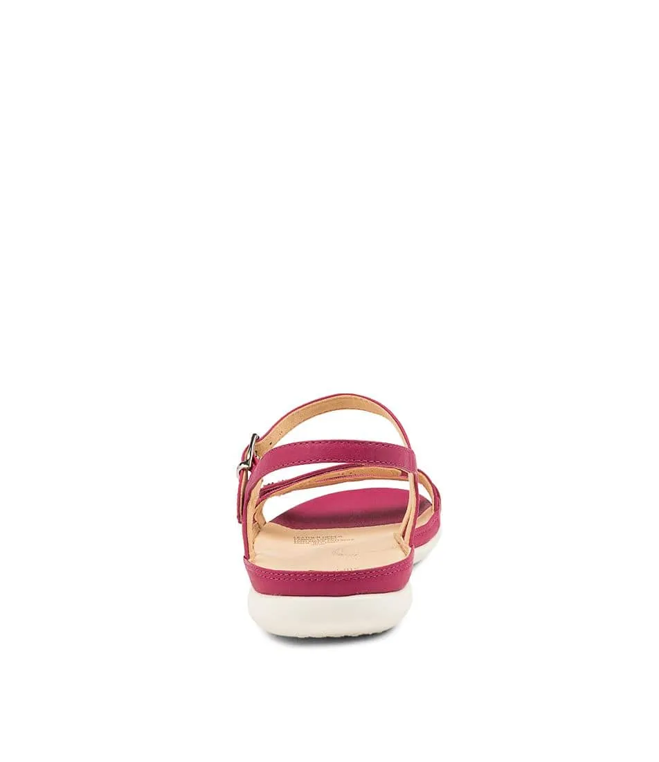 ZIERA BREEZE FUCHSIA Island Time Versatile Style