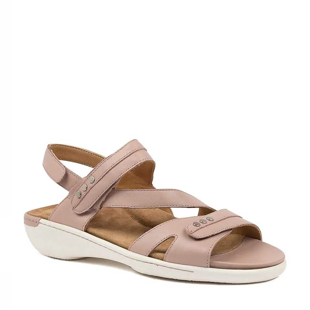 ZIERA BEAUX SEASHELL Cool Tone Pearl Shine