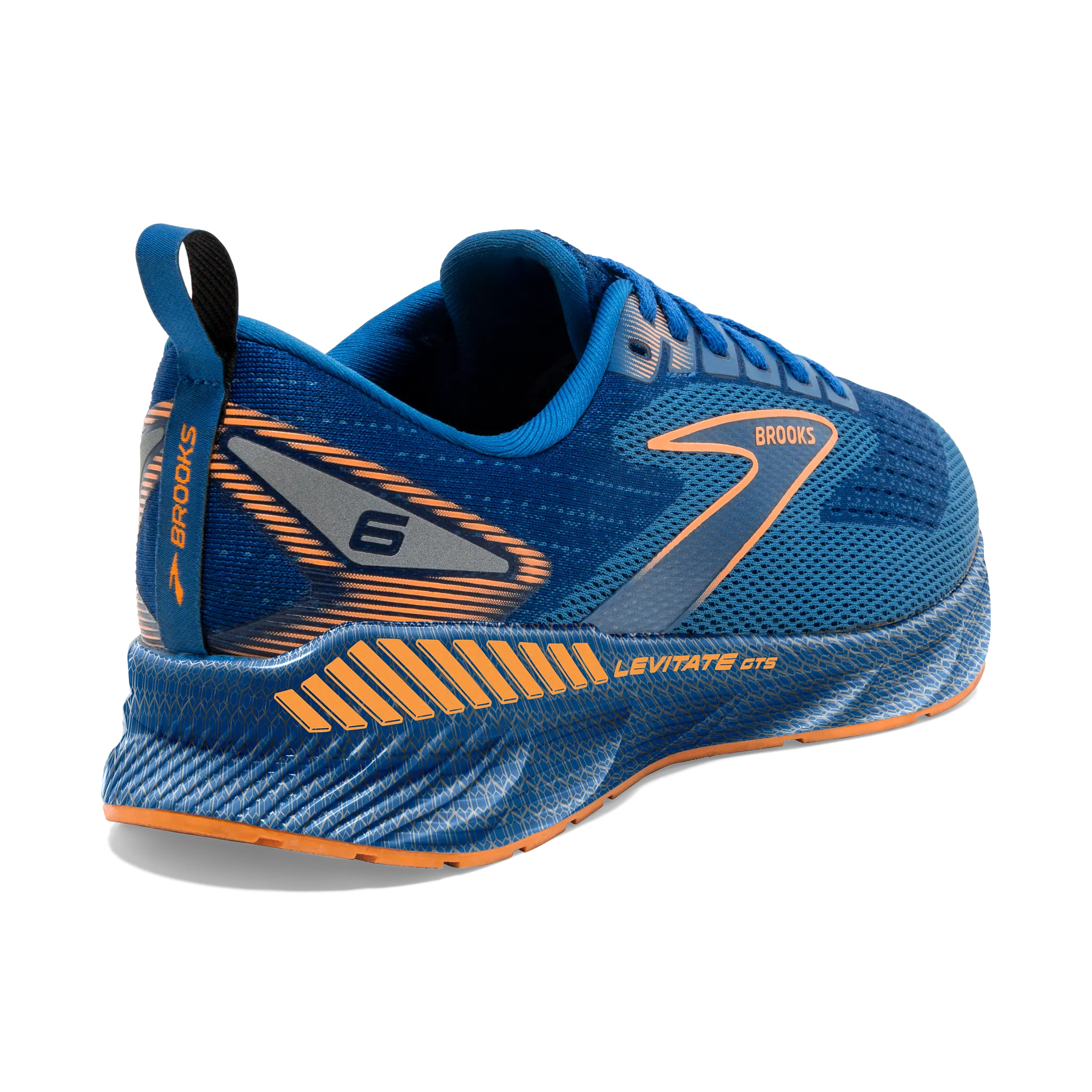 Road Trip disabled - athlete Men's Levitate GTS 6