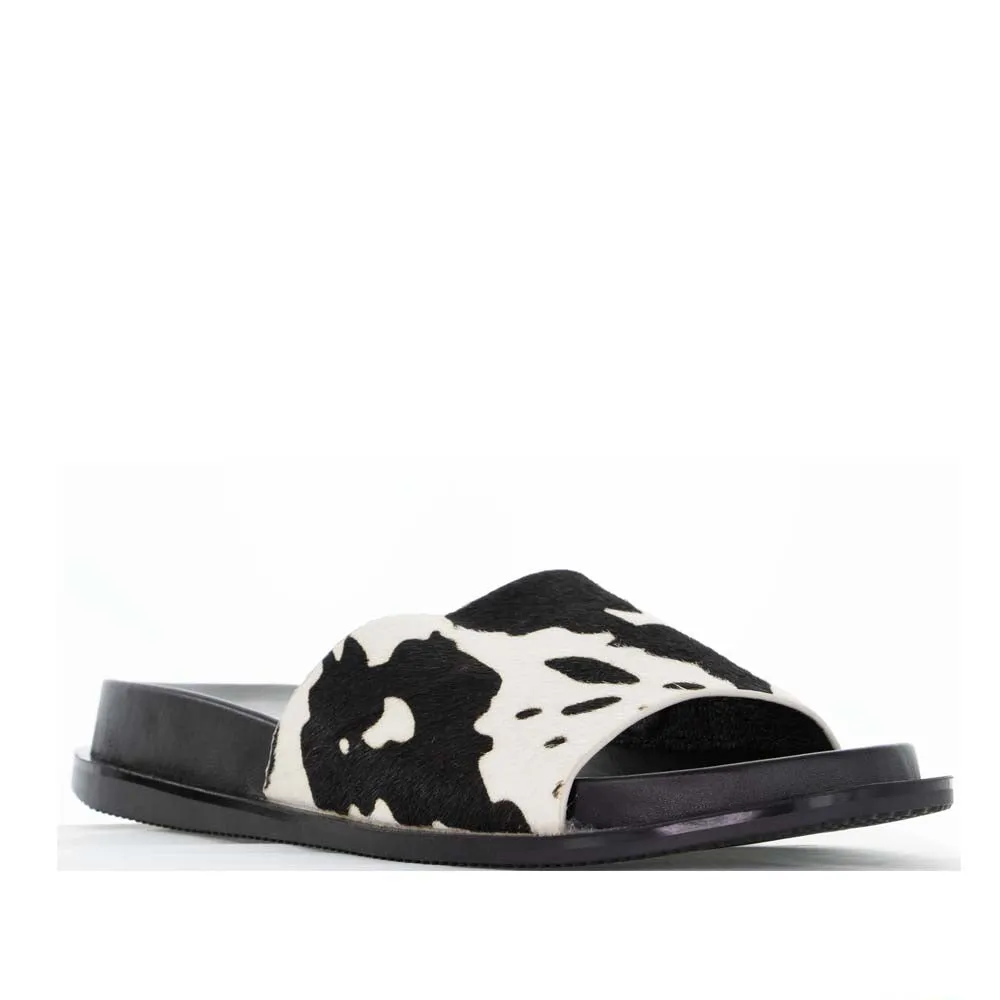 BRESLEY AVENGE FERSIAN Field Walk Cotton Feel