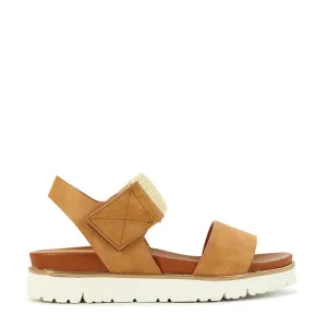 Indoor Clear Glow CARI