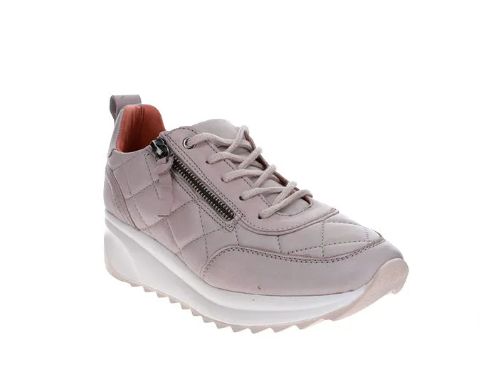 Sophisticated LE SANSA ALBA GREY