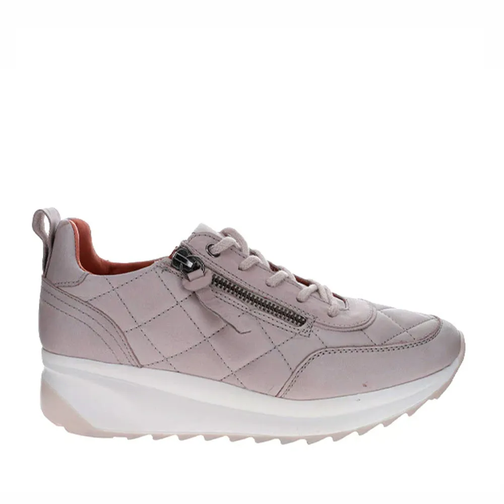 Branded diabetic-friendly LE SANSA ALBA GREY