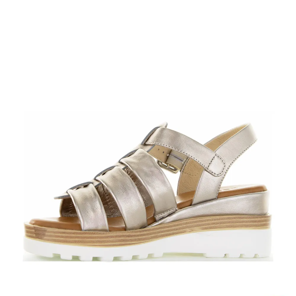 LE SANSA TOAST CHAMPAGNE birthday men's styles