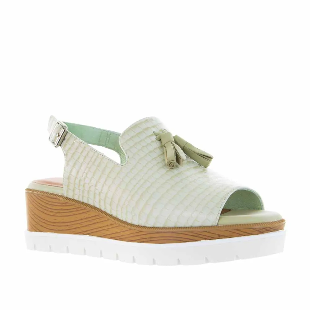 BRESLEY SEACOMBE MINT CROC Stylish Design polka-dot