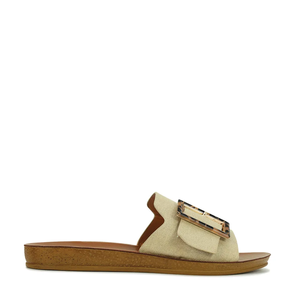 Braz  Slides Quality