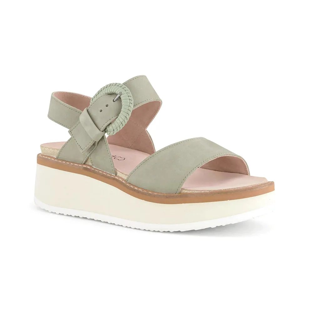 Neo Pop Crepe (124100)