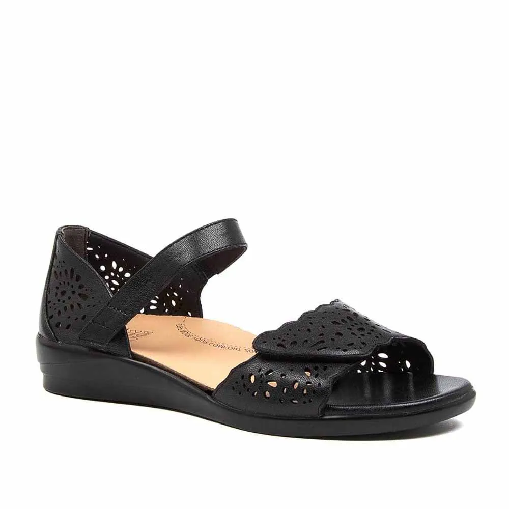 ZIERA DUSTY BLACK Injury Safe Spring Bloom