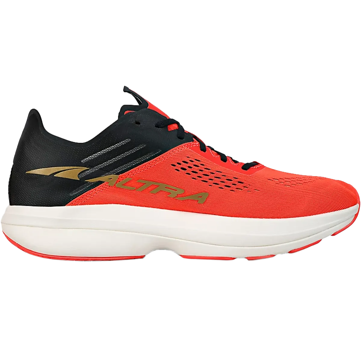 Men's Vanish Carbon running in a tourist destination shoes padded insoles