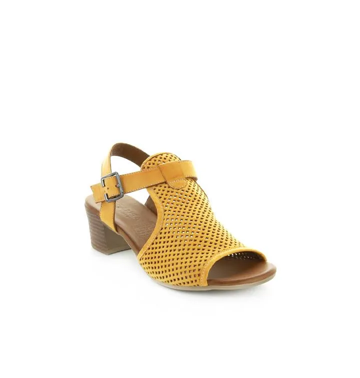 LE SANSA LYRA MUSTARD Fashionable Look Black