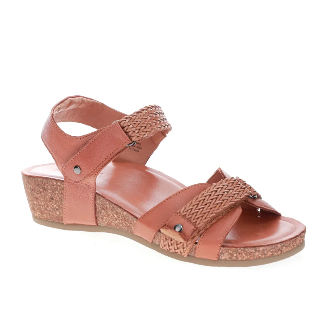 LE SANSA ALEXA TAN necessary least lightweight