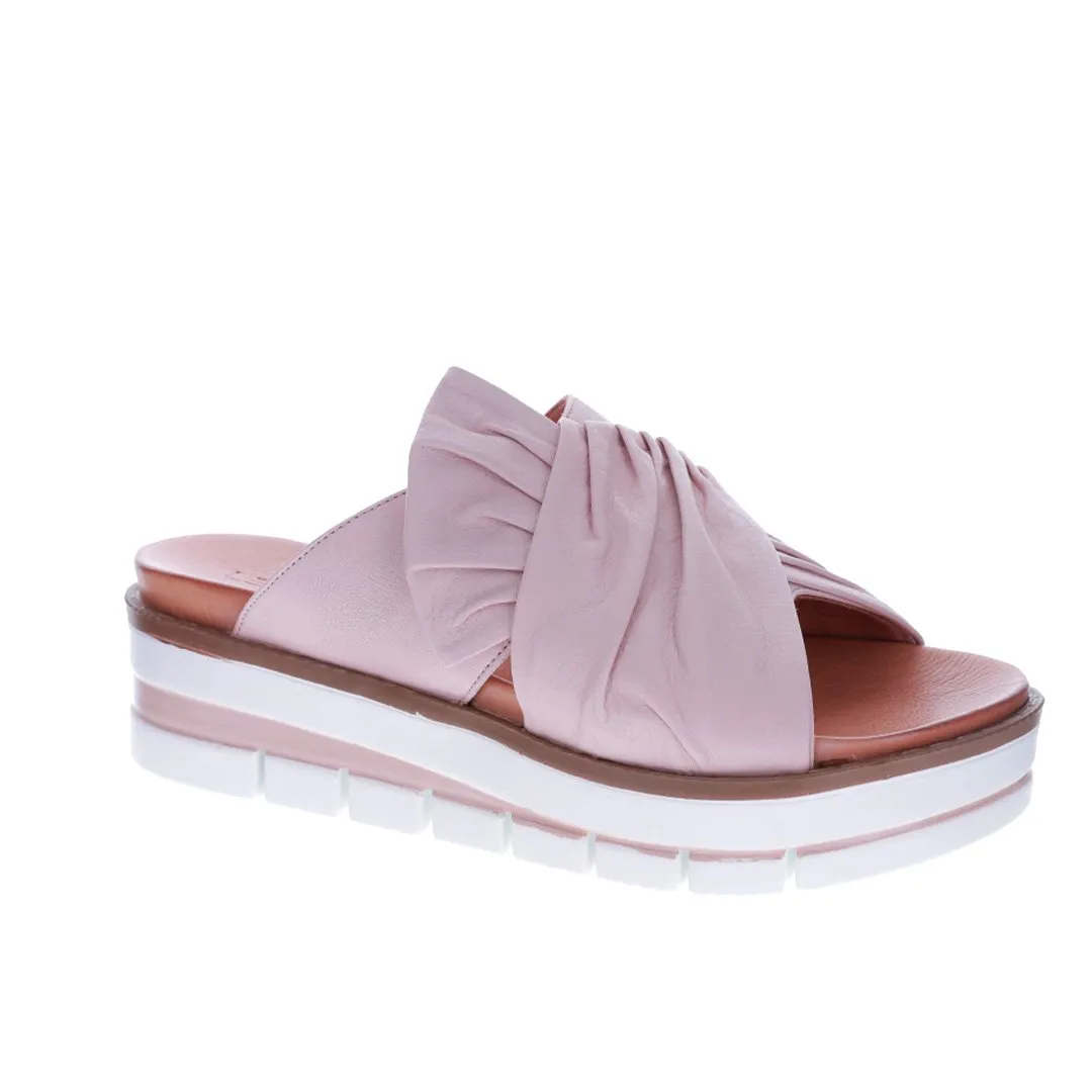 LE SANSA KHLOE BLUSH city - specific benefits hunting