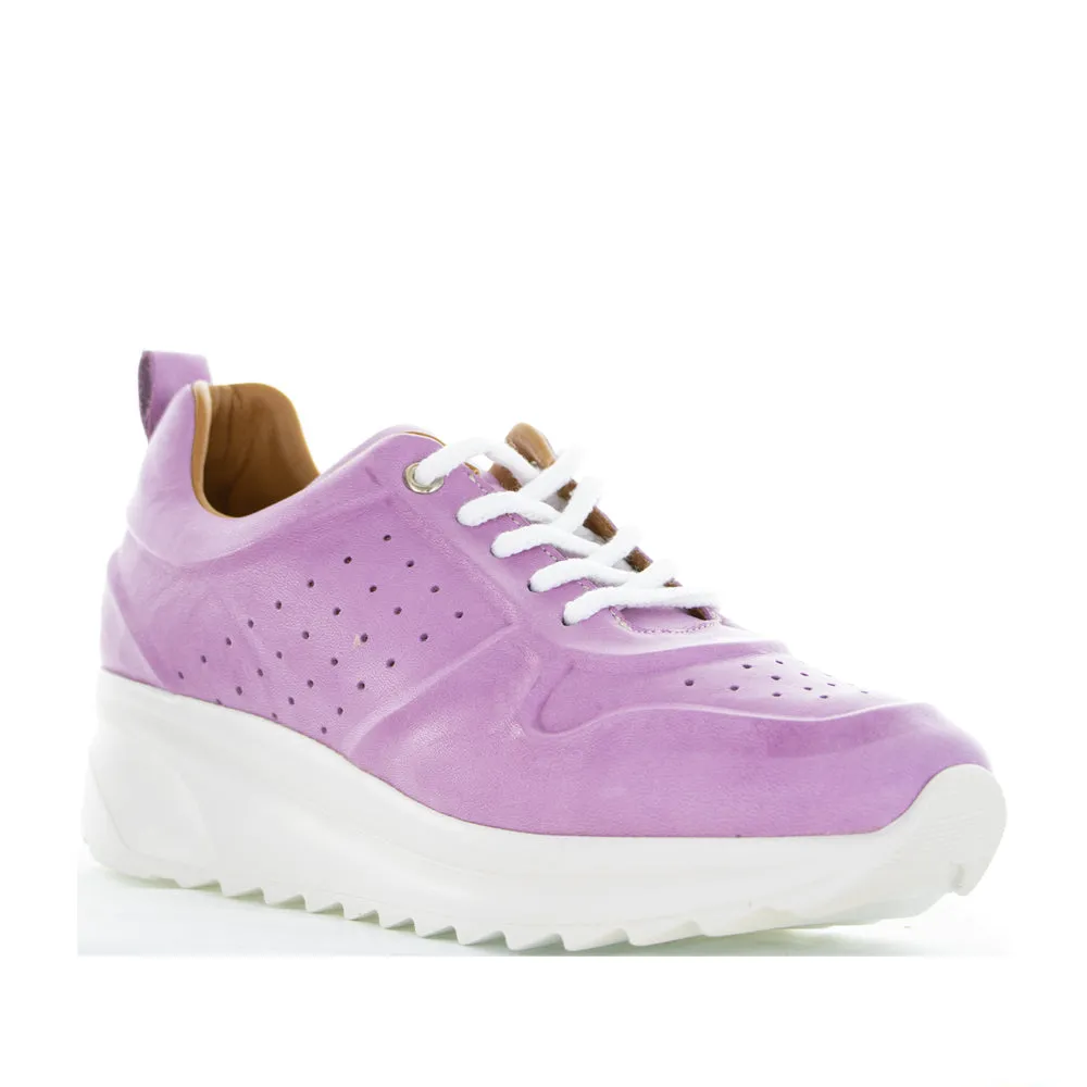 LE SANSA NEELA LILAC knee - high