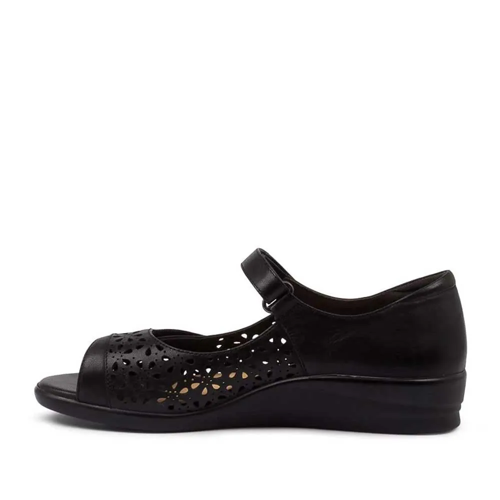 Harbor Mood ZIERA DAFFODIL BLACK