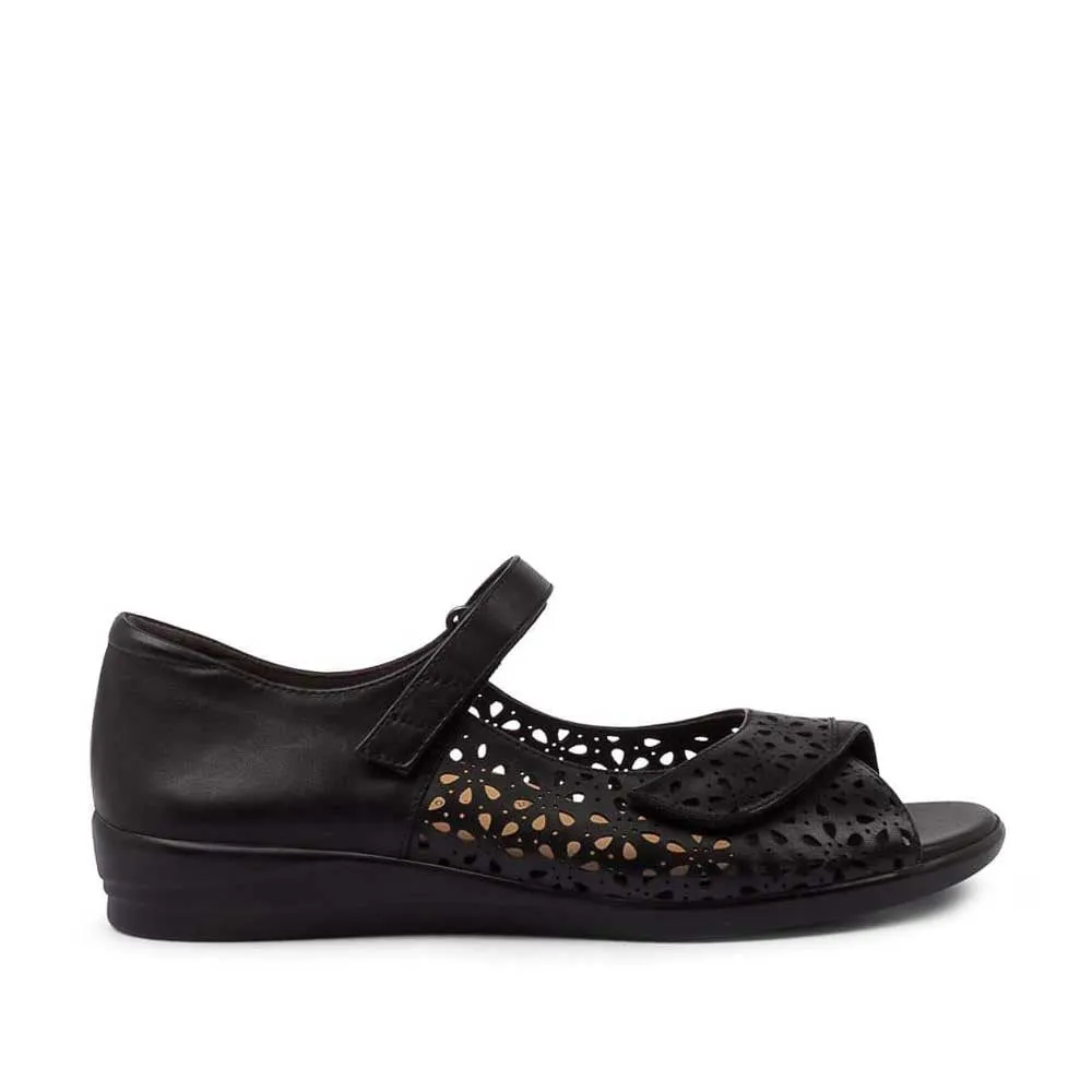 Smart Fit Pure Black ZIERA DAFFODIL BLACK