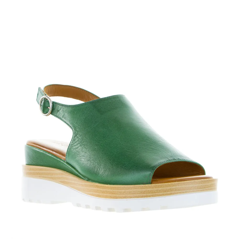 LE SANSA THUNDER PINE skaters