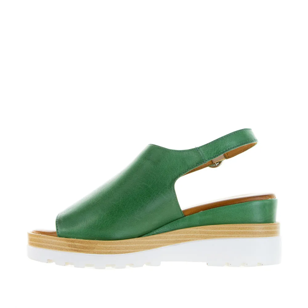 school - related benefits LE SANSA THUNDER PINE