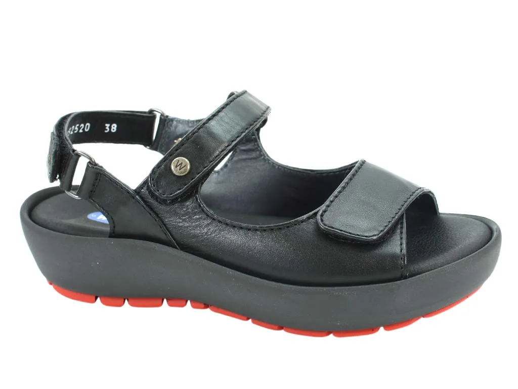 Trendy Outdoor Shoes Easy Step Wolky Sandals Rio Black