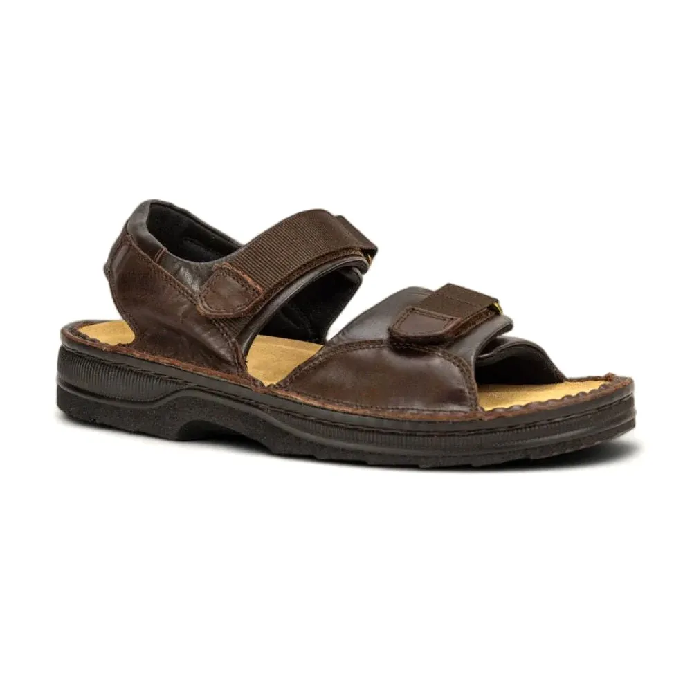 Black Edge Andes (69048)