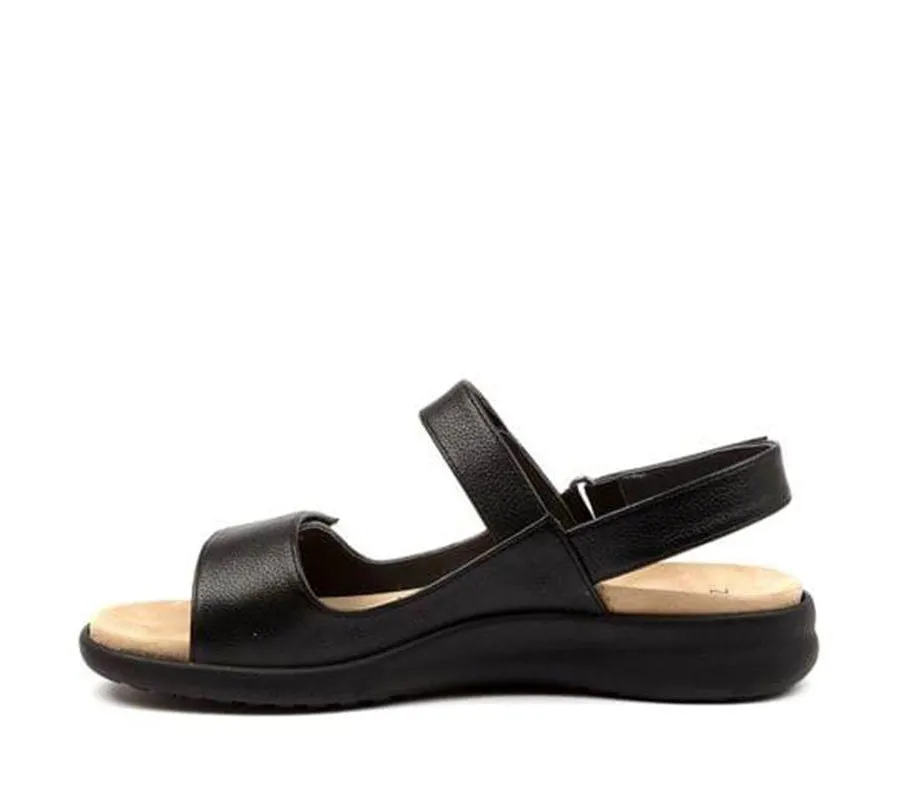 ZIERA BENJI BLACK Modern Bold Energy Core