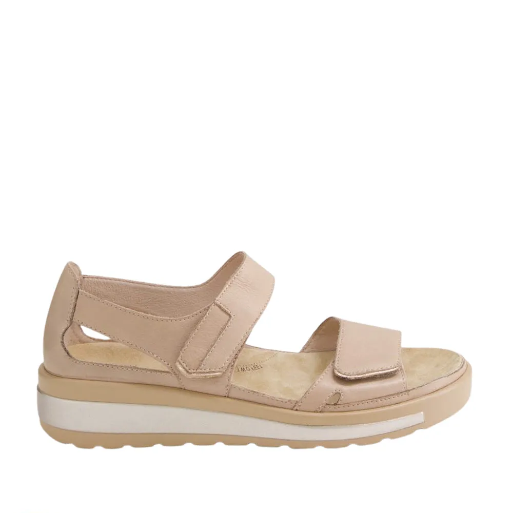 velcro ZIERA GEDD CAFE