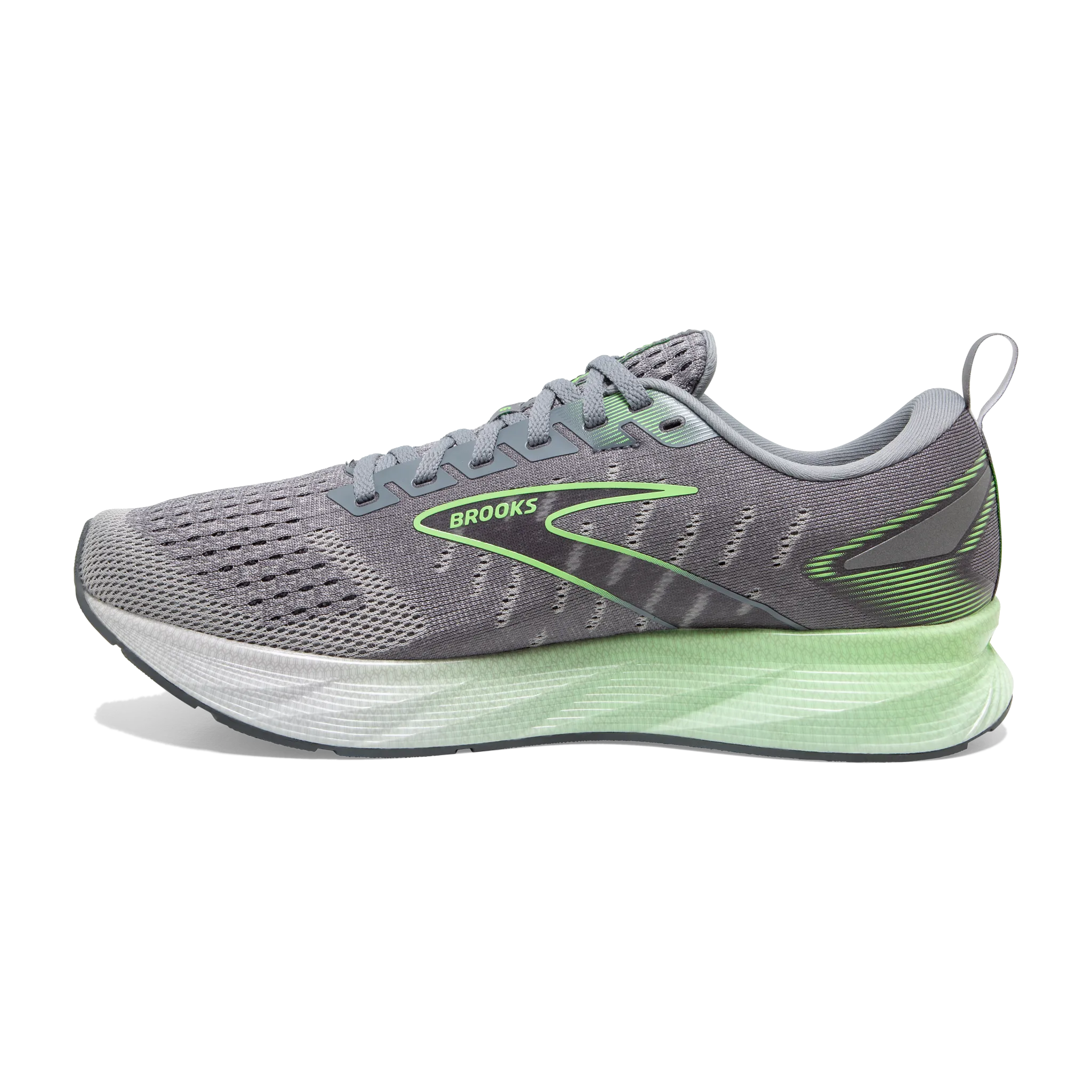 weight - conscious shoes running in a famous bridge area shoes Men's Levitate 6