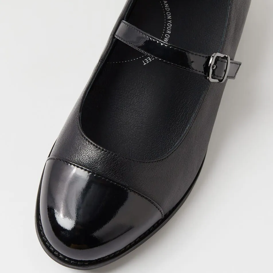 ZIERA TAYORA BLACK Firm Edge