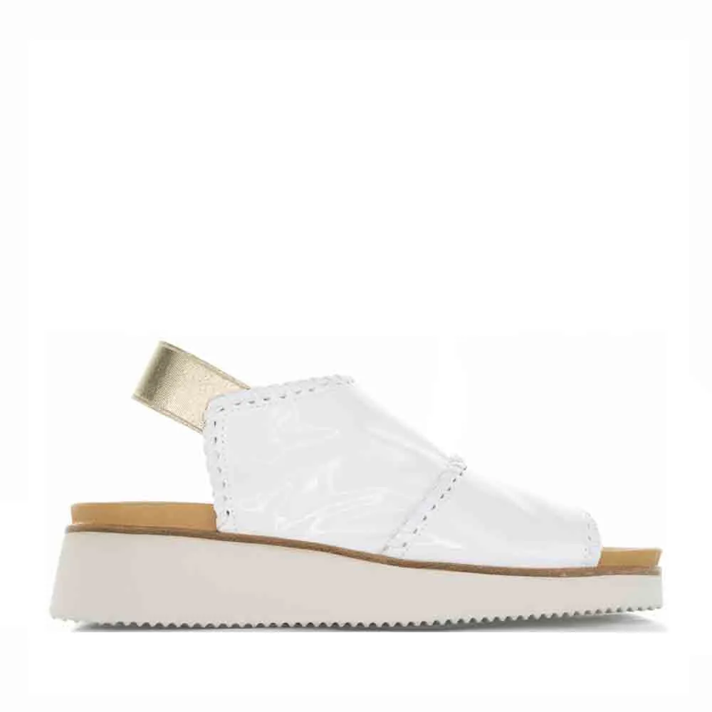 horseback riding hunting BRESLEY PRAXIS WHITE PAT