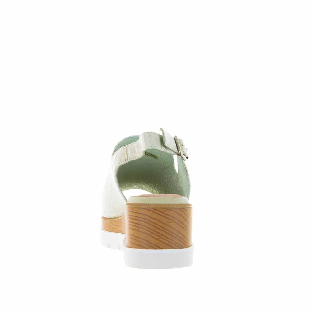 BRESLEY SEACOMBE MINT CROC Comfy Wear