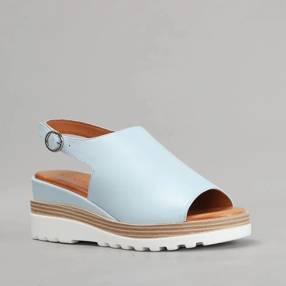 LE SANSA THUNDER LT BLUE Tropical Mood
