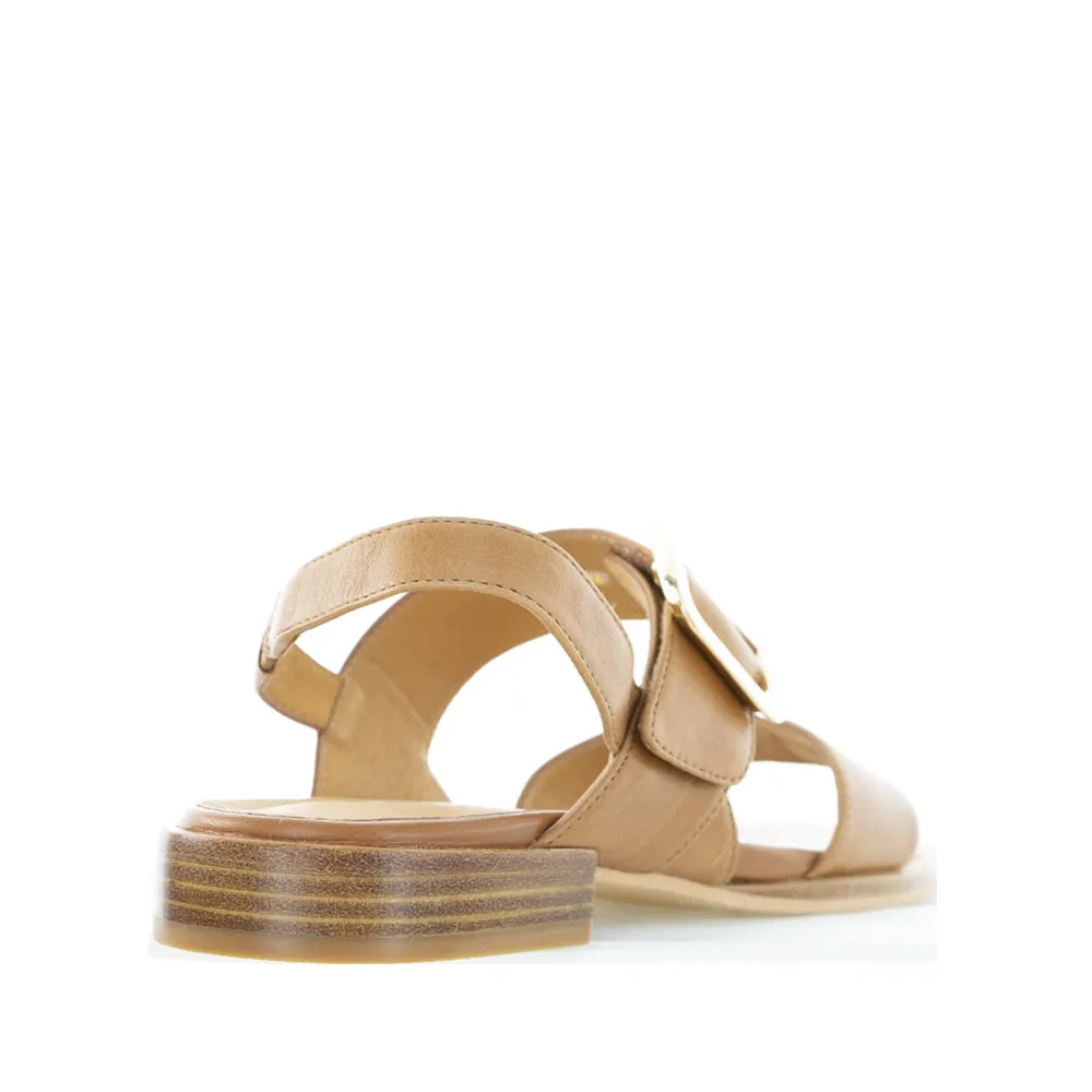 Light Activity BRESLEY SMITTEN BRANDY