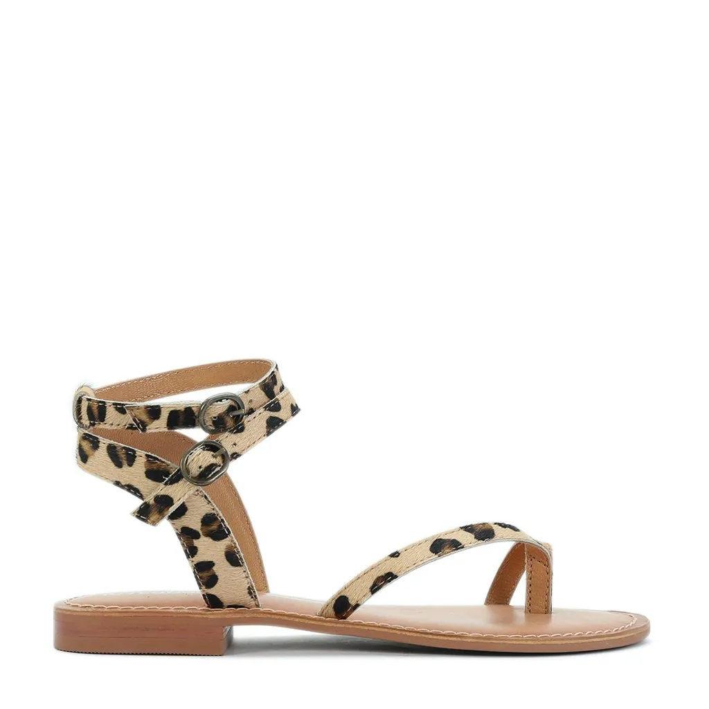 Petite Fit Summer Base AMANTE